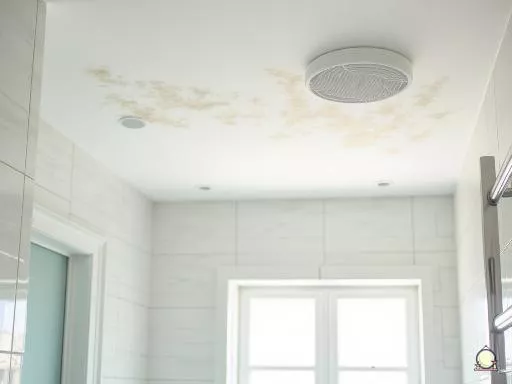Moisissure au plafond de la salle de bain : causes et solutions