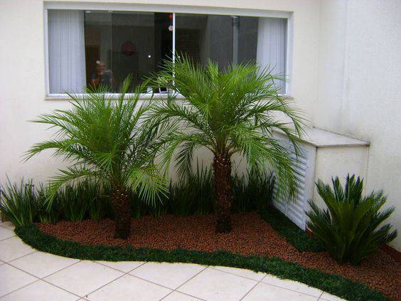 Parterres de fleurs avec palmiers phénix.