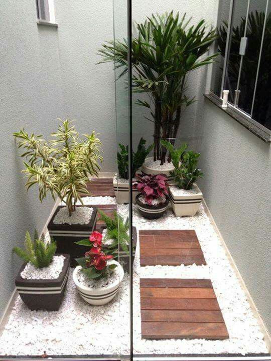 Petit jardin avec plantes en pot