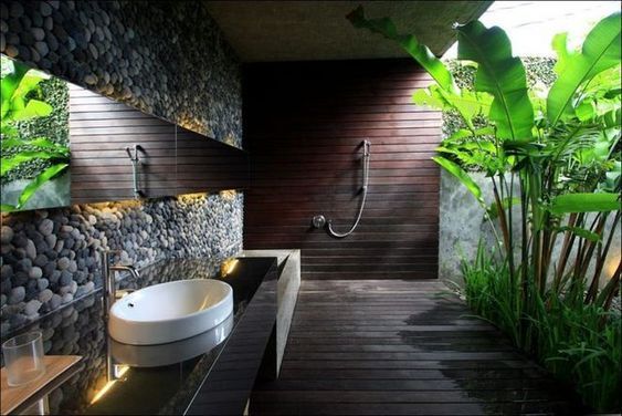 Salle de bain avec jardin intérieur.
