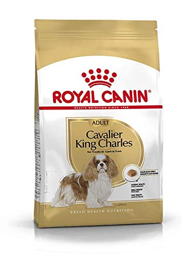 ROYAL CANIN - RCCavalier King kg.  7.5