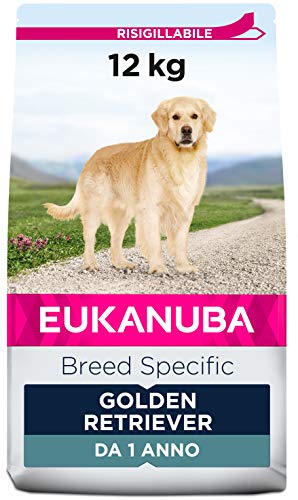 Eukanuba Breed Specific Croquettes pour chiens adultes Golden Retriever, Best Breed Adapted Dog Food 12kg