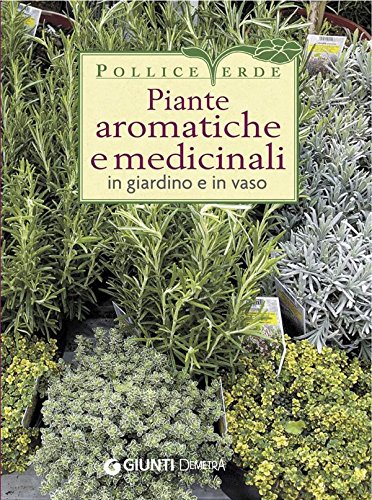 Plantes aromatiques et médicinales (pouce vert) dans les jardins et pots
