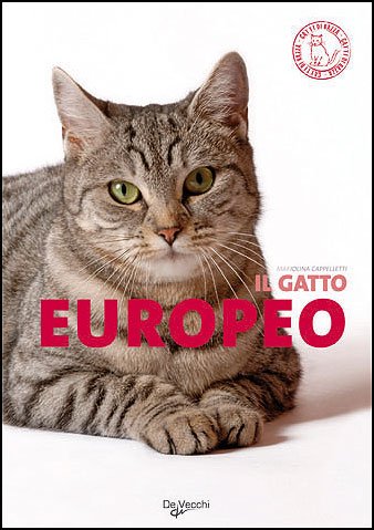 chat européen