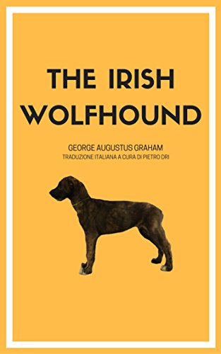 Irish Wolfhound: traduction complète en italien