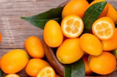Propriétés et avantages du kumquat, également connu sous le nom de chinois mandarin