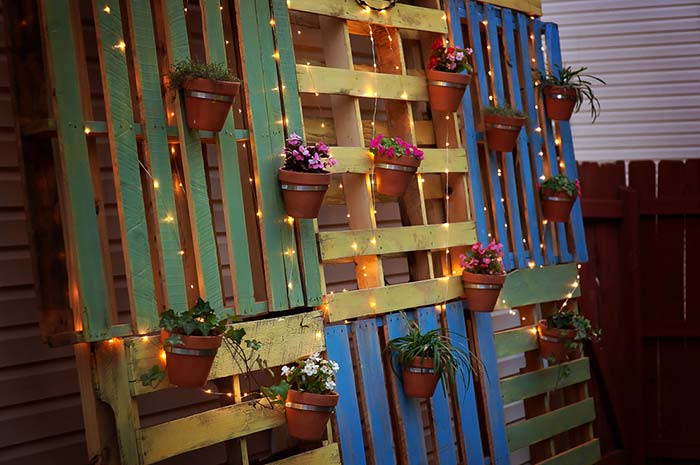 Un plateau coloré contre le mur supporte les plantes en pot