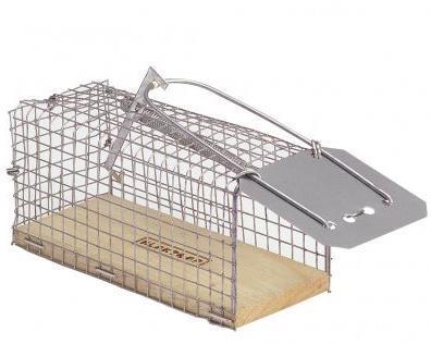 Comment faire une cage pour hamster - Substrat ou lit hygiénique